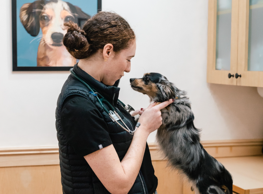 Marine View Veterinary Hospital in Des Moines, WA