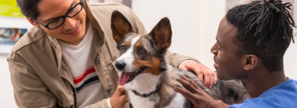Banfield Pet Hospital in Des Moines, WA